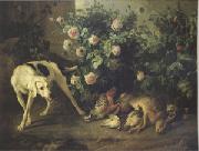 Francois Desportes Dog Guarding Game Near a Rosebush (mk05) Germany oil painting artist